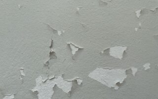 exterior paint failure